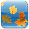 Falling Autumn Leaves Screensaver thumbnail
