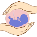 101 Pregnancy Safety Tips Free thumbnail