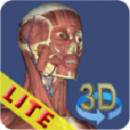 3D Anatomy Lite thumbnail
