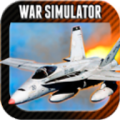Airplane Flight Simulator thumbnail
