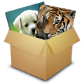 Animals Puzzle Box thumbnail
