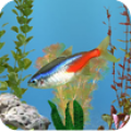 aniPet Freshwater Aquarium (free) Live Wallpaper thumbnail