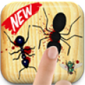 Ant Killer Insect Smasher thumbnail