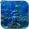 Aquarium 4K Video Wallpaper thumbnail