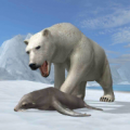 Arctic Bear thumbnail