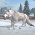 Arctic Wolf thumbnail