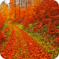 Autumn Landscape Wallpaper thumbnail