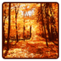 Autumn Wallpaper thumbnail