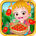 Baby Hazel Tomato Farmings thumbnail
