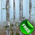 Bamboo Forest 3D Free thumbnail