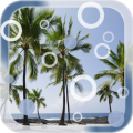 Beach Palms Live Wallpaper thumbnail