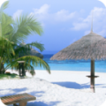 Beach Wallpapers for Chat thumbnail