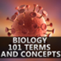 Biology 101 Terms and Concepts thumbnail