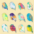 Bird Wallpapers thumbnail