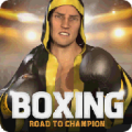 Boxing - Road To Champion thumbnail