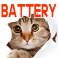 Cat Battery thumbnail