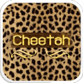 Cheetah thumbnail