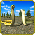 Clan of Anaconda Snakess thumbnail