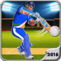 Cricket T20 2016 thumbnail