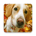 Cute Dogs Puzzle thumbnail