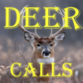 Deer Calls HD thumbnail