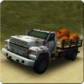 Dirt Road Trucker 3D thumbnail