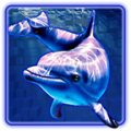 Dolphins Pearl Deluxe slot thumbnail