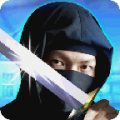 Elite Ninja Assassin 3D thumbnail