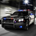 Fast Police Car Driving 3D thumbnail
