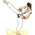 Final Karate Demo thumbnail