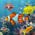 Fish Aquarium thumbnail