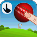 Flick Cricket 3D thumbnail