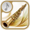 Flute Music Ringtones Free thumbnail