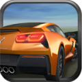 Highway Riot Car Racing 3D thumbnail