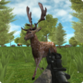 Hunter Animals In The Forest thumbnail