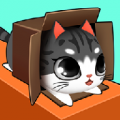Kitty in the Box thumbnail