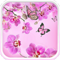 Pink Flowers Live Wallpaper thumbnail