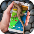 Lizard in phone thumbnail
