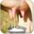 Milk Cow thumbnail
