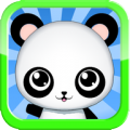 My Lovely Panda ! thumbnail