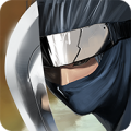 Ninja Revenge thumbnail