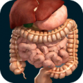 Organs 3D (Anatomy) thumbnail