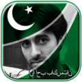 Pakistan Flag Photo thumbnail