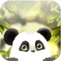 Panda Chub Live Wallpaper Free thumbnail