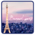 Paris Go Launcher EX thumbnail