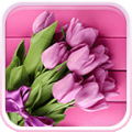 Pink Tulips Live Wallpaper thumbnail