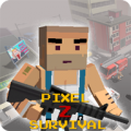 PixelZS thumbnail