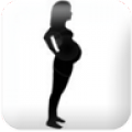 Pregnancy watcher widget thumbnail