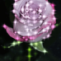 Purple Rose Sparkle Live Wallpaper thumbnail