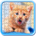 Puzzle Cats and Kitty thumbnail